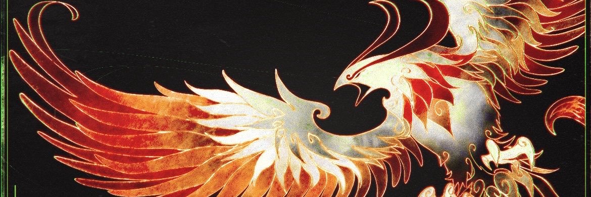 flzmegrey's profile banner image