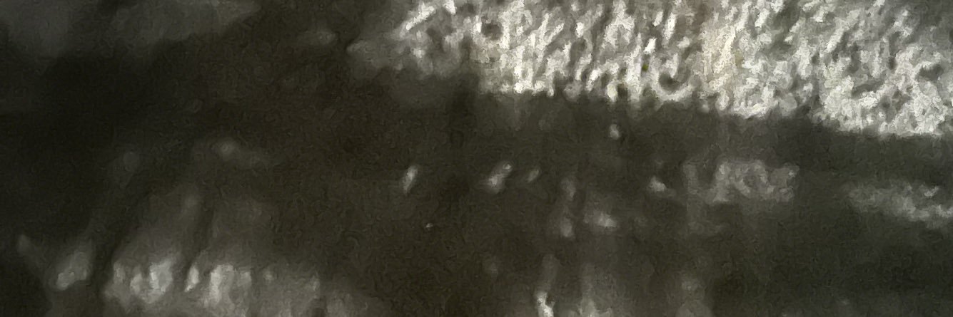 Nikarepr's profile banner image
