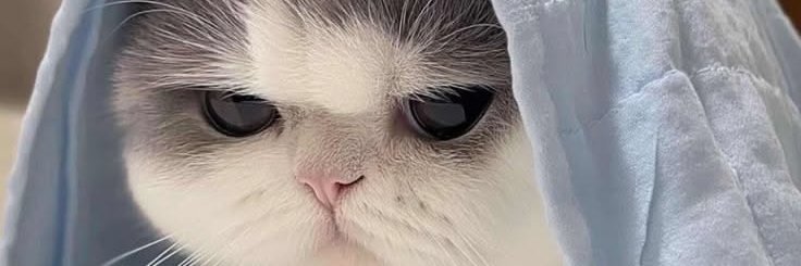 snuffles_desk's profile banner image