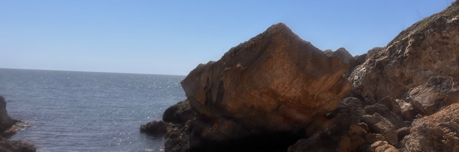 FifiTonis's profile banner image