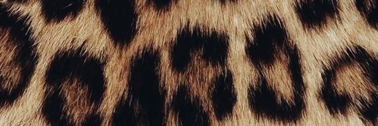 baddielxve's profile banner image