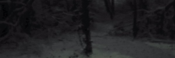 Ratx8rh's profile banner image