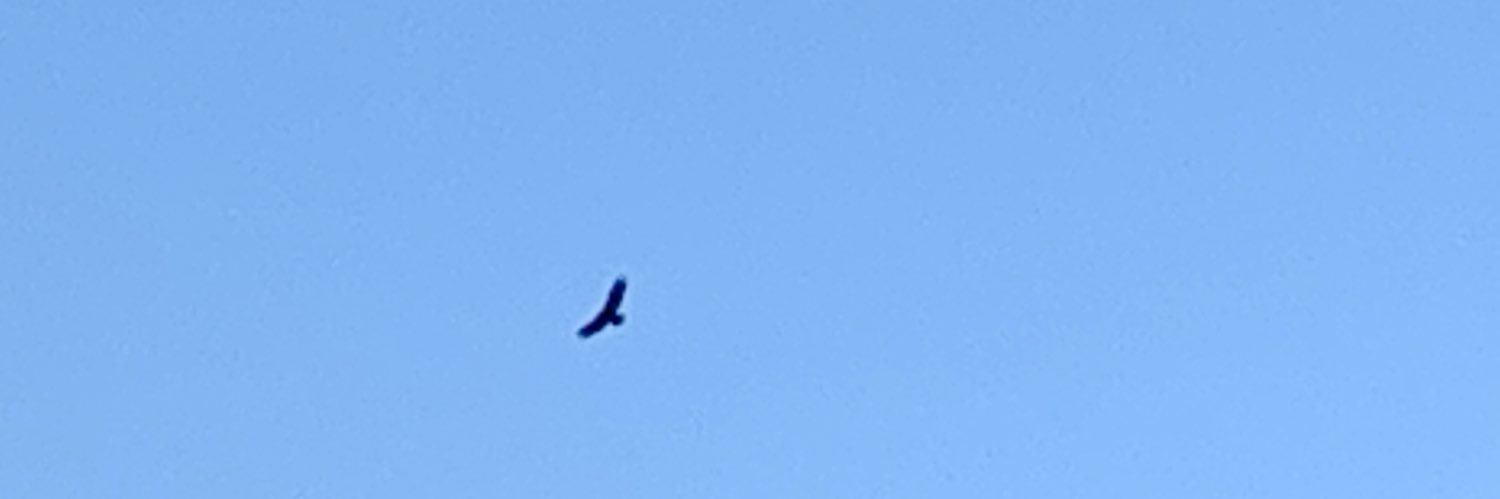 Ganga Shreedhar banner