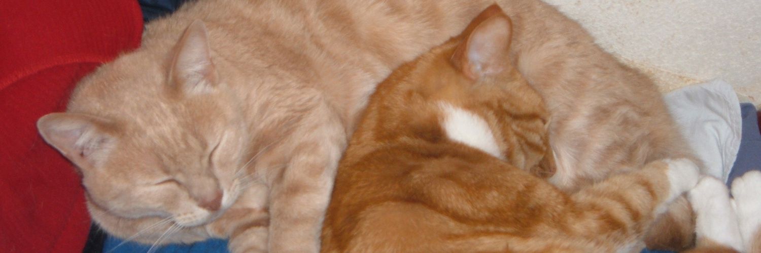 monicasmink's profile banner image