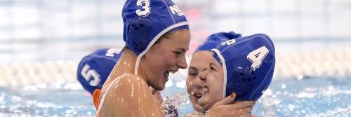 Brigitte Sleeking banner