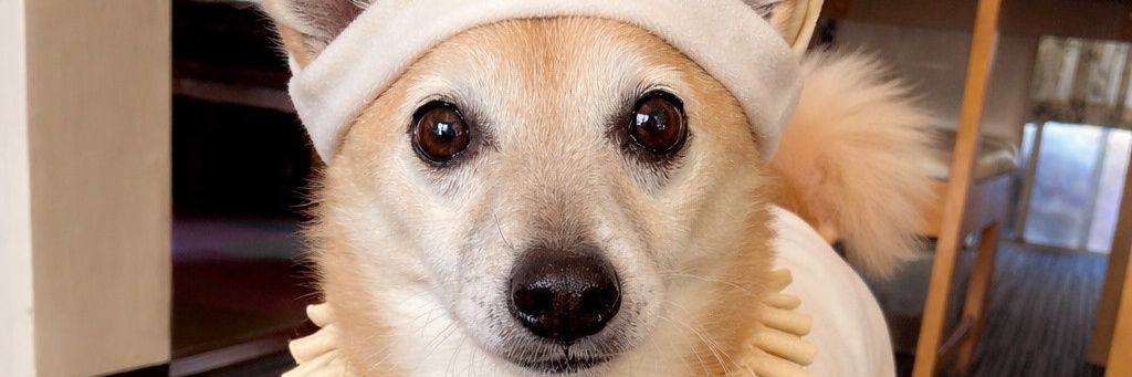 8rubp's profile banner image