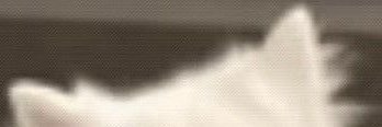 Lv04xv's profile banner image