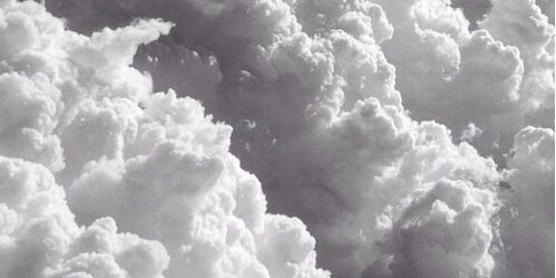 tifahNLA's profile banner image
