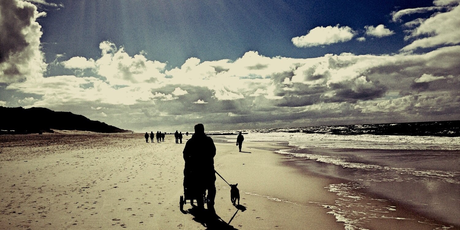 Nicole Westermann banner