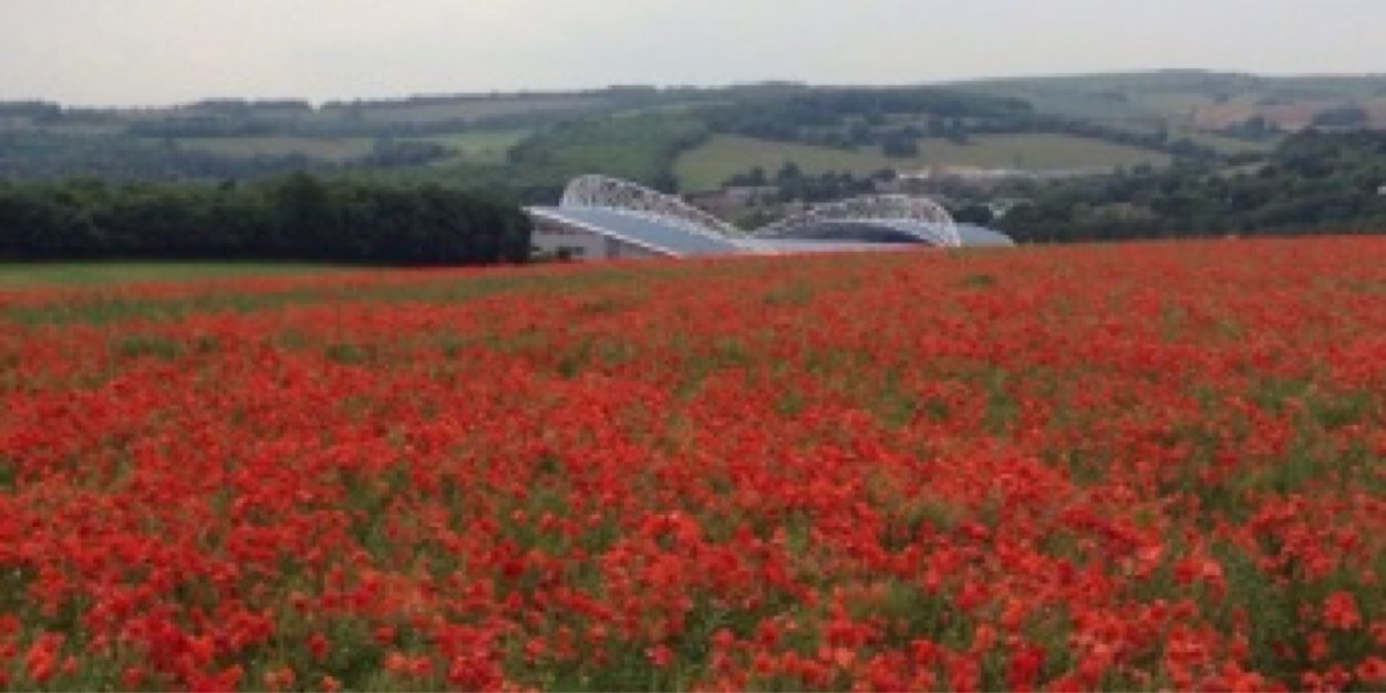 Alan Monaghan banner