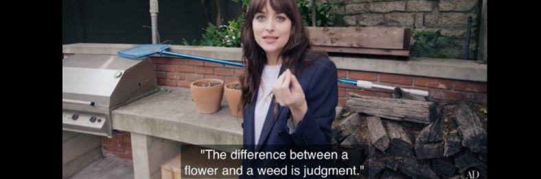 Elien 🇧🇪 banner