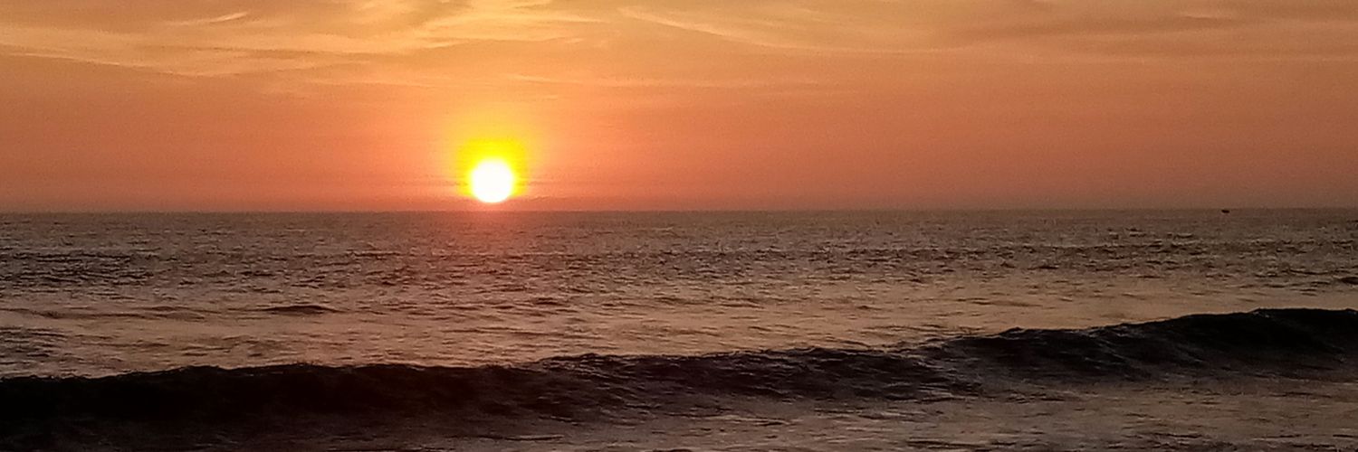 ORNIVIRO's profile banner image