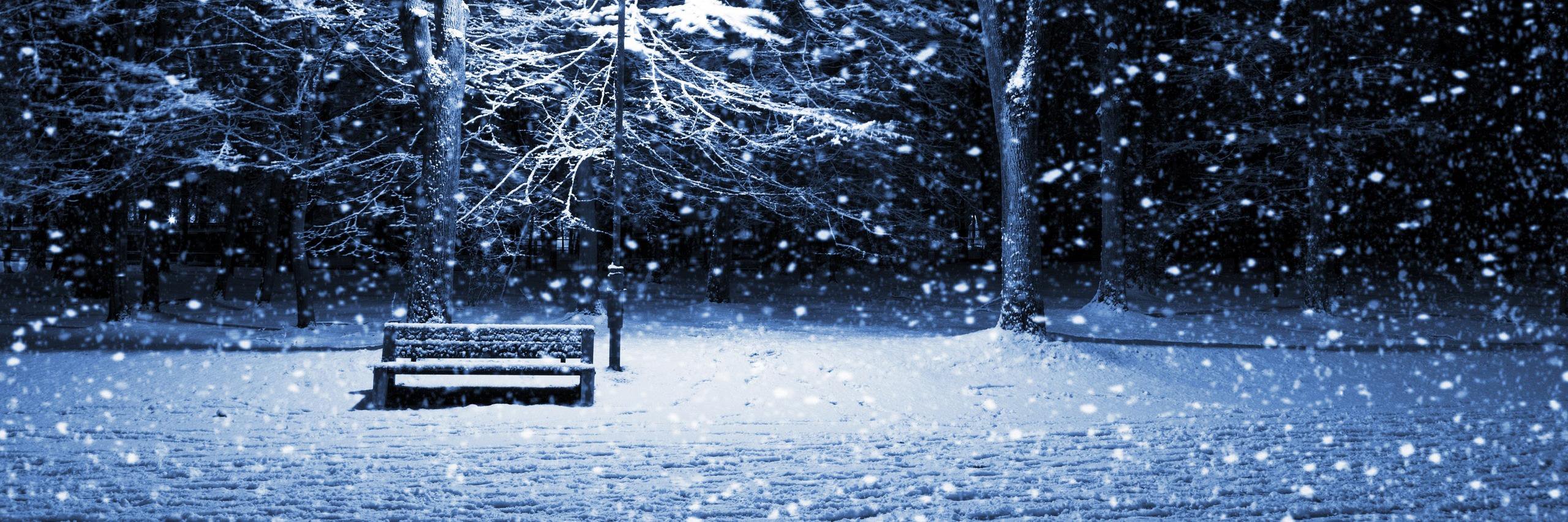 Collin Pastorius banner