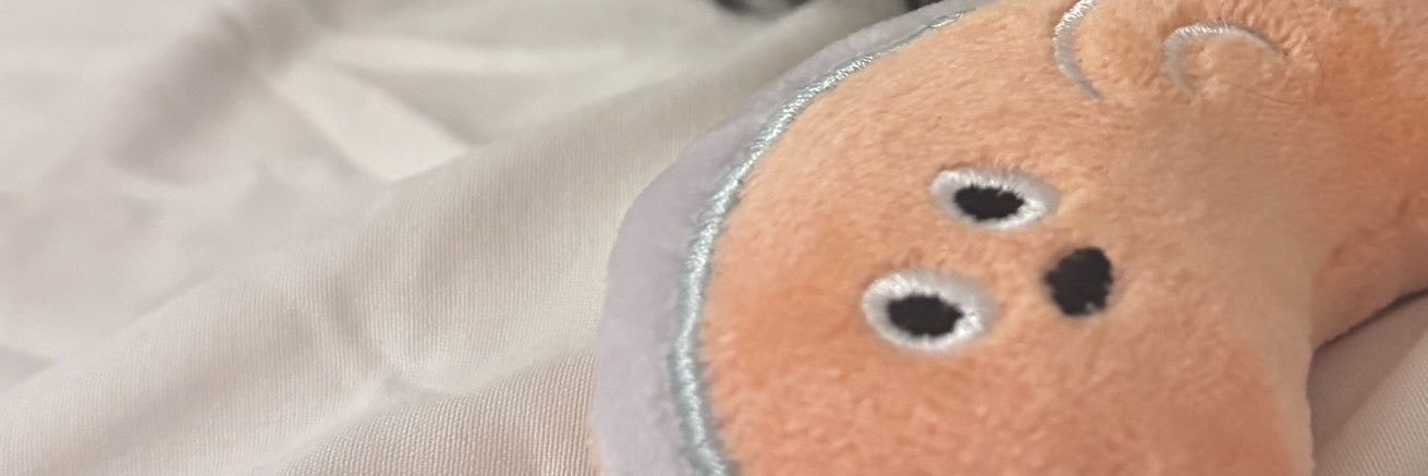 wgvnuo's profile banner image