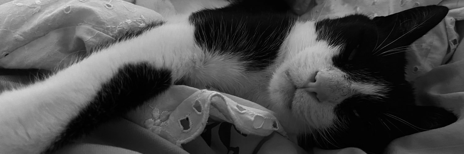 yll33n's profile banner image