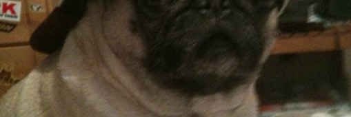 lannastonem's profile banner image
