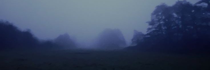 piercedbuddha's profile banner image