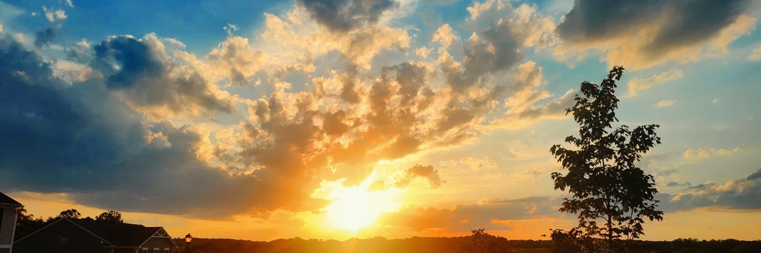 NSAWP_SE's profile banner image