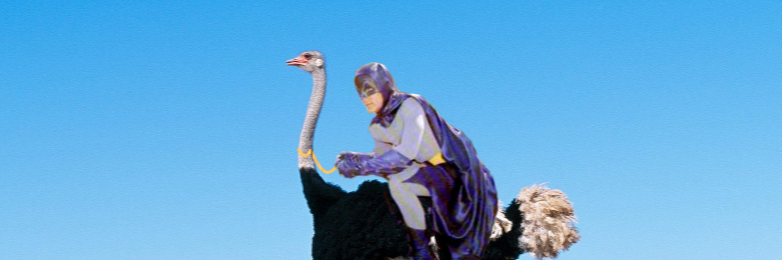 BramBonne's profile banner image