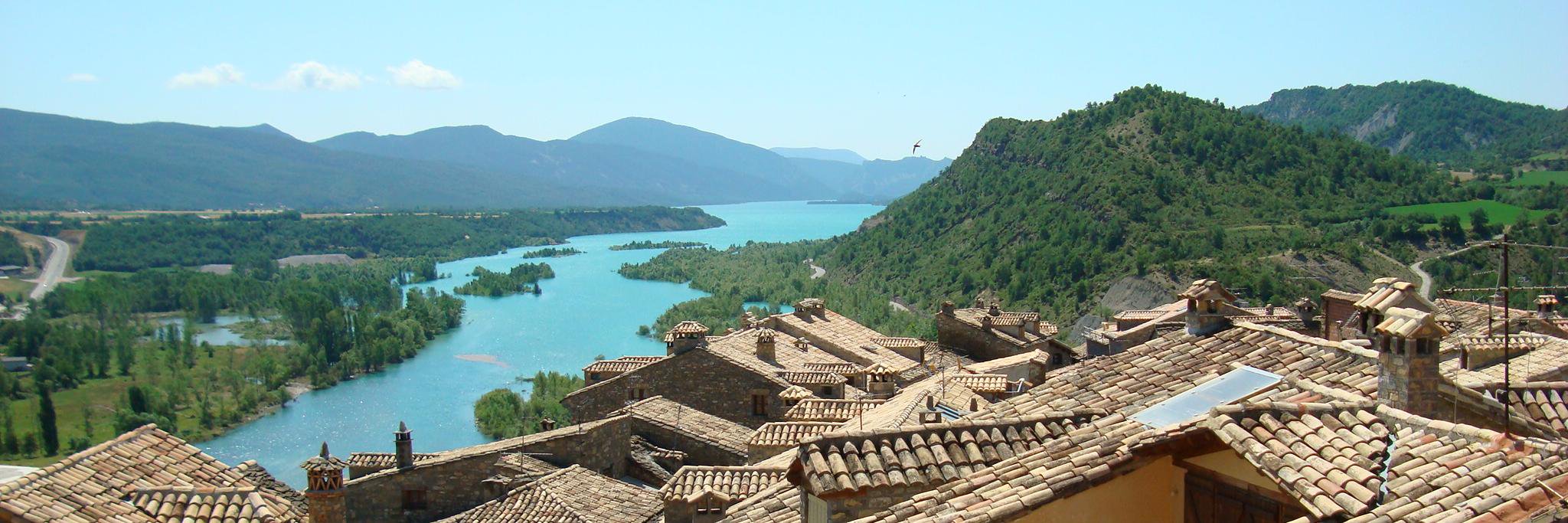 Escalón enraizado banner