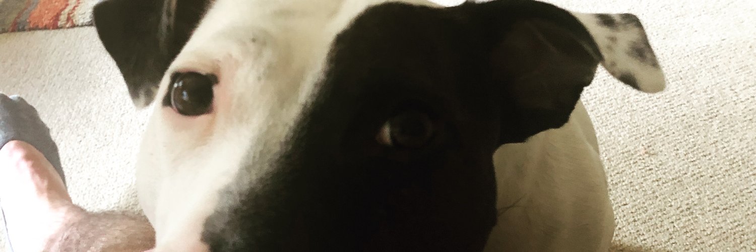 AdamWalsh123's profile banner image
