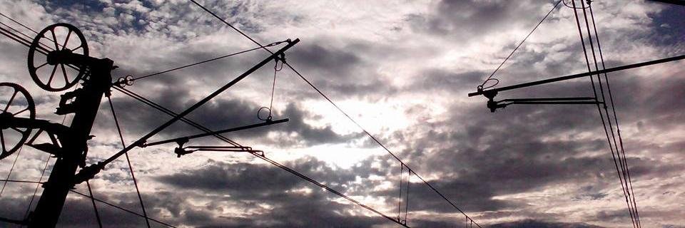 iago_wild's profile banner image