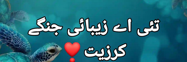 SanulBaloch's profile banner image