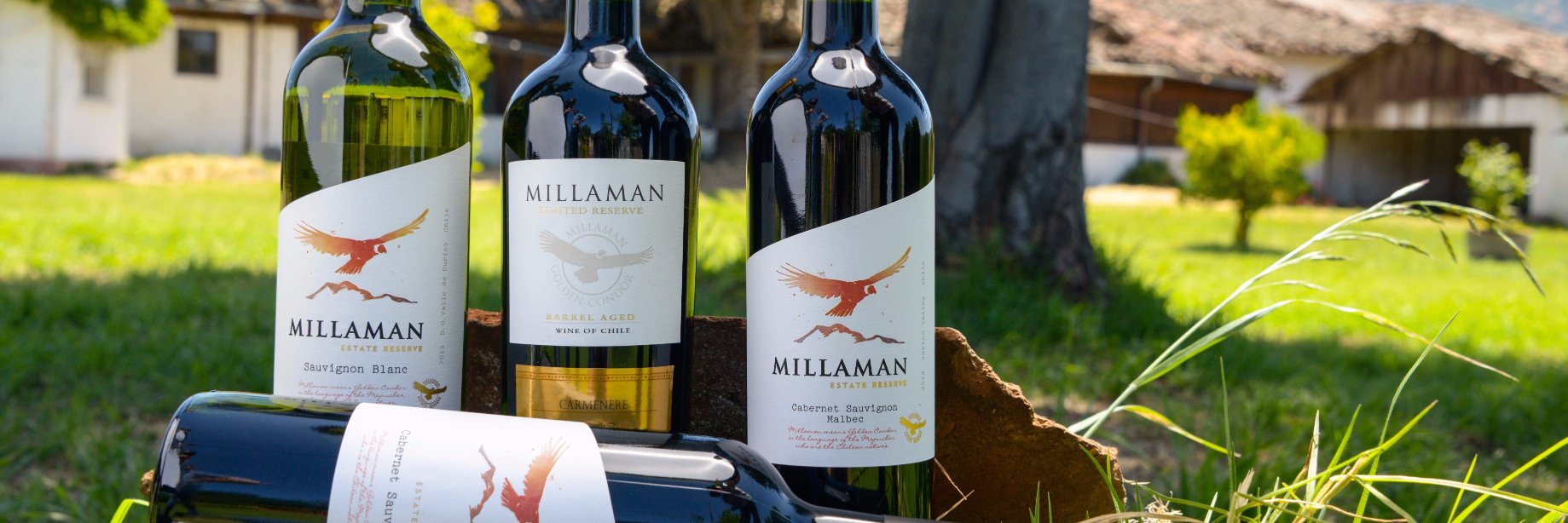 MillamanWines's profile banner image