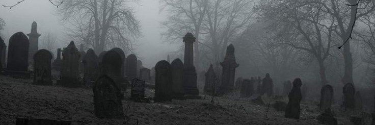 _vampir0st's profile banner image