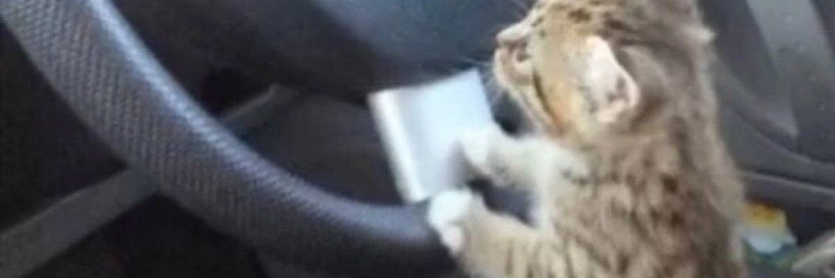 mayumns's profile banner image