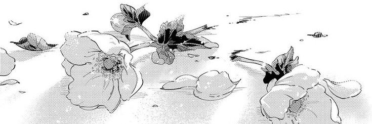 svftkittty's profile banner image