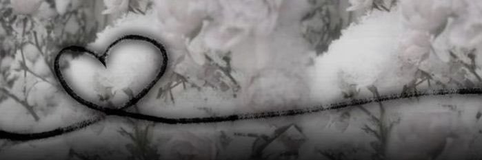 lacdkitti's profile banner image