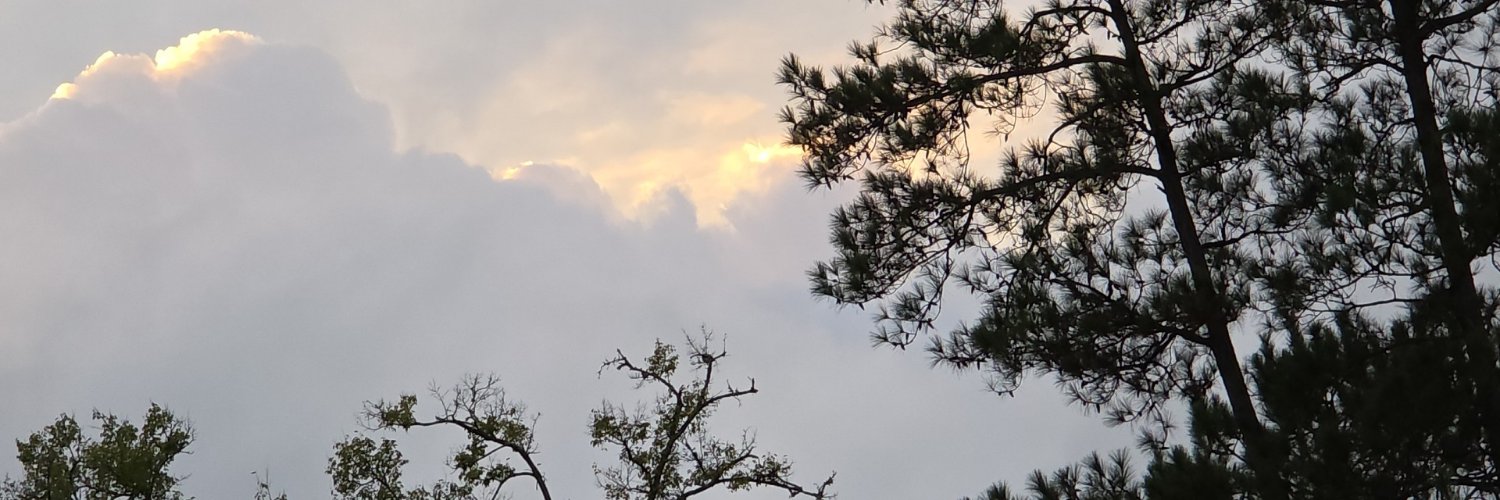 cdumas1973's profile banner image