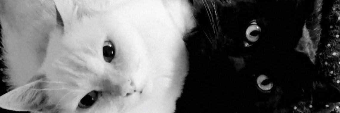 luvecore_'s profile banner image