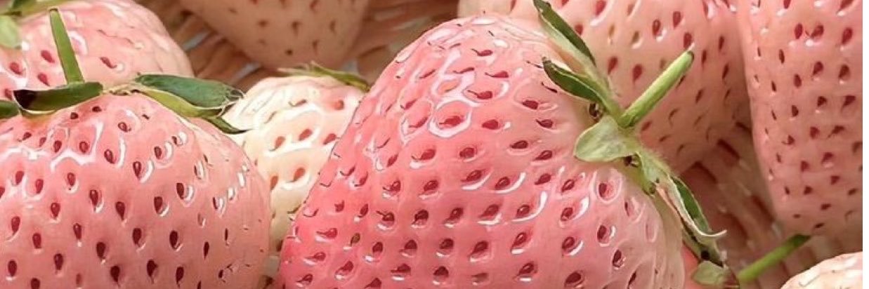 kwmmomo_case's profile banner image