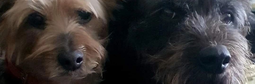 ValBooth's profile banner image