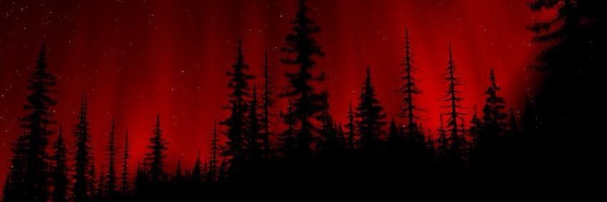 LobotomyCampus's profile banner image