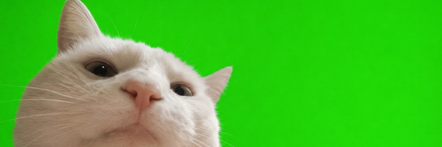 VIBECATPUMP's profile banner image