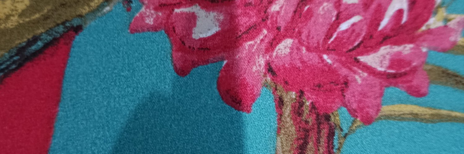 ReinaSchlaefli's profile banner image