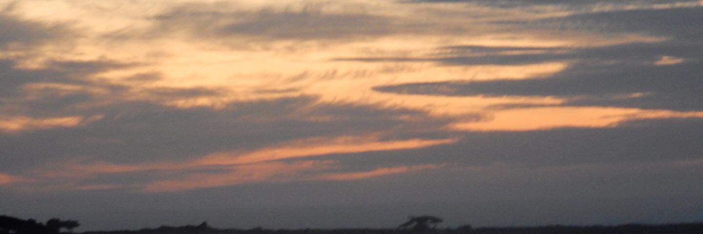 Highrollerreef's profile banner image