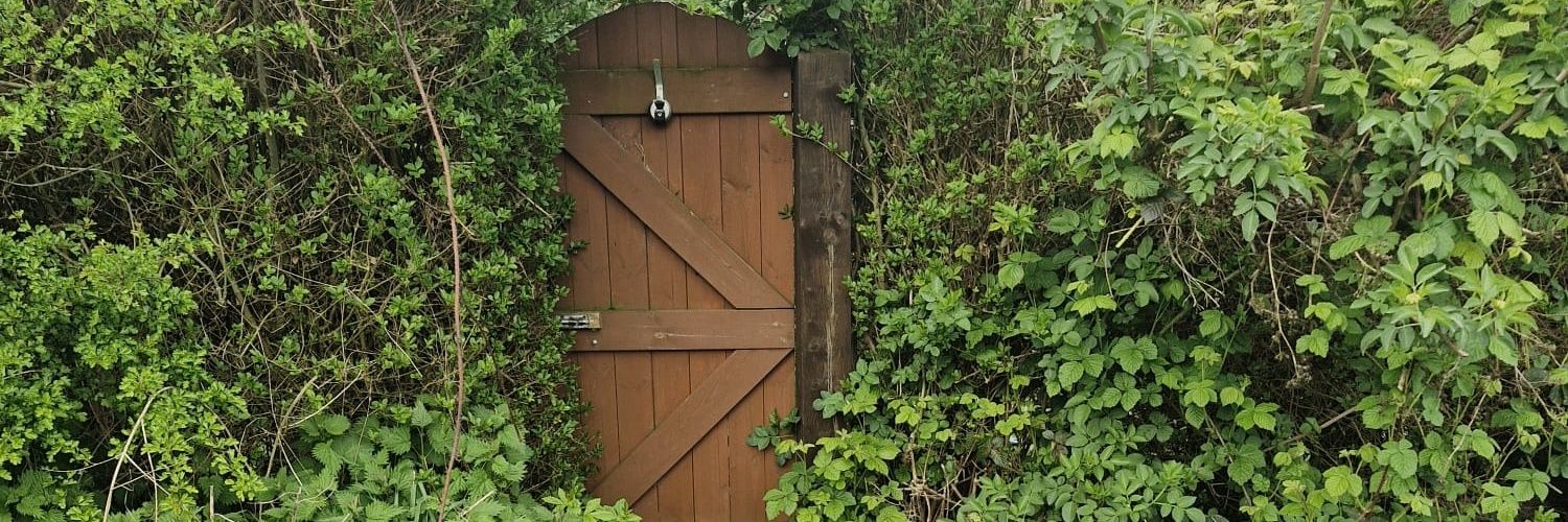 Dr Faye Davies banner