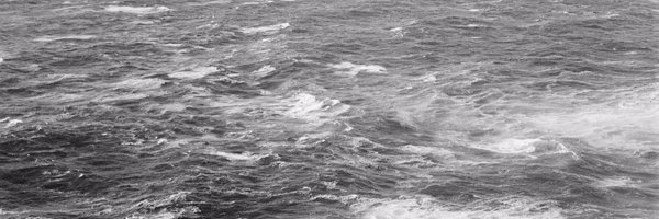 FrancesScott Profile Banner