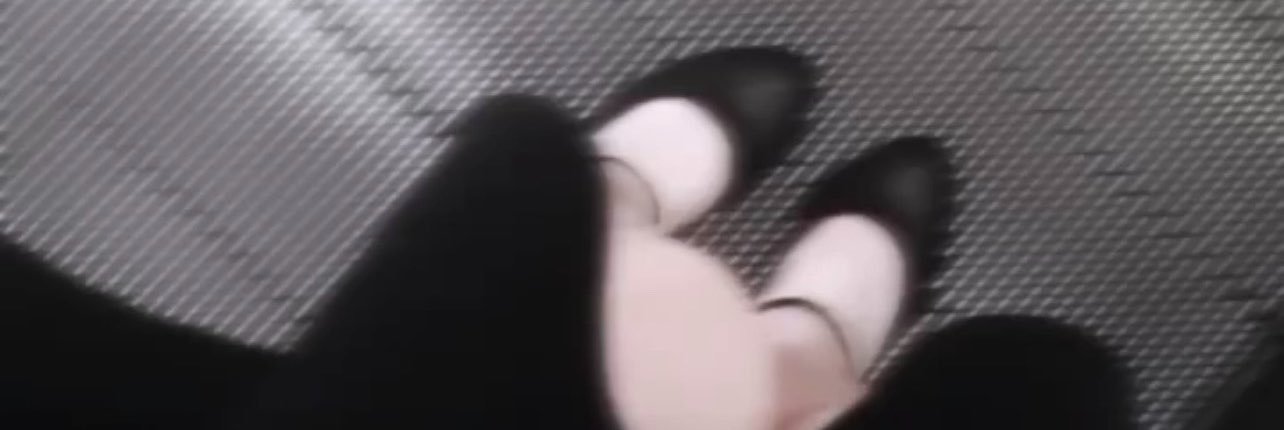 Nankd3pgwix's profile banner image