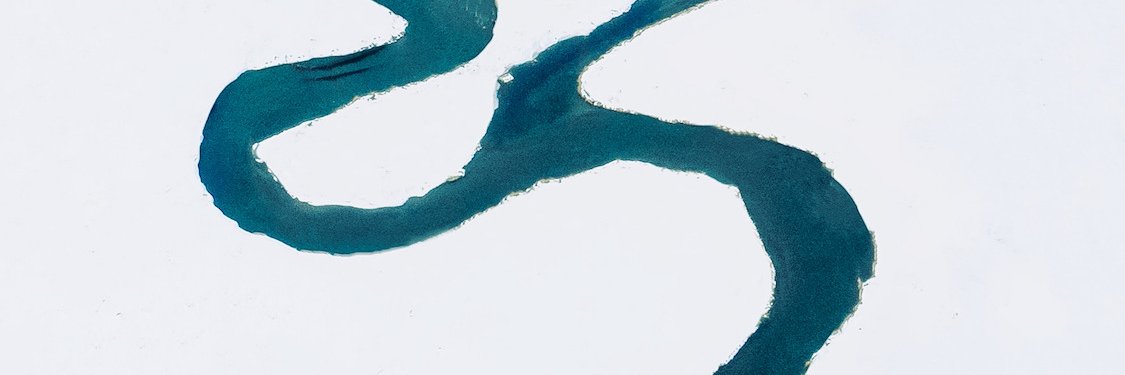 D banner