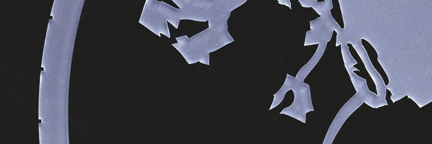 Watchout4P's profile banner image