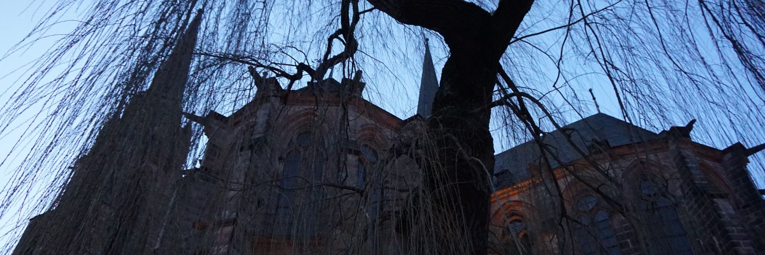 Happily_Boring's profile banner image