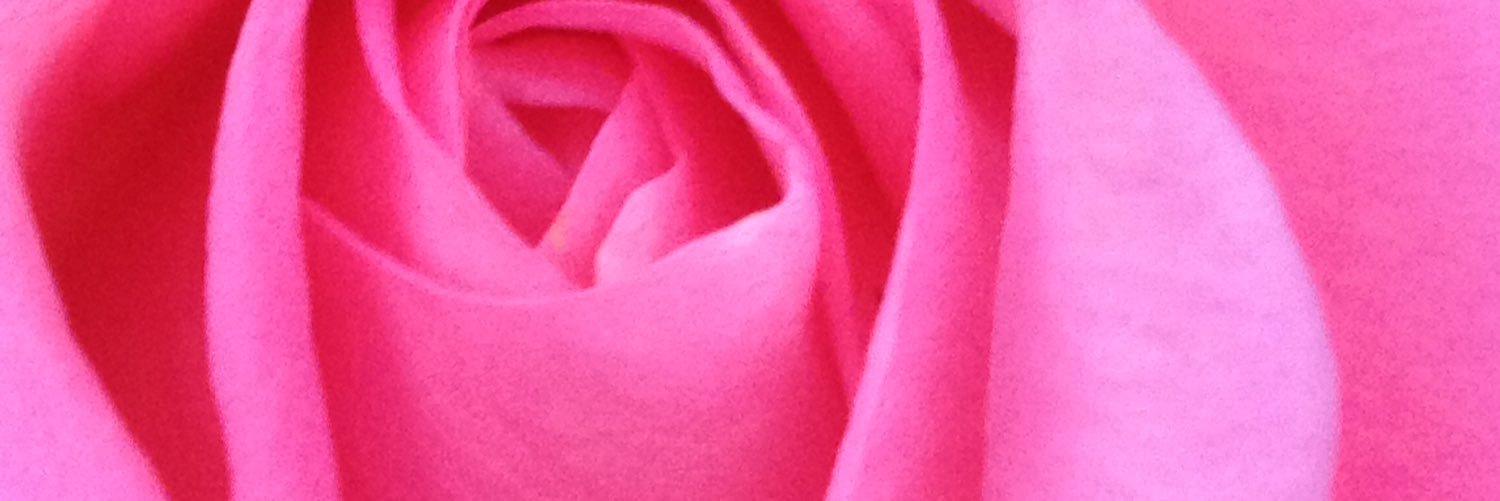 MPPrncs's profile banner image