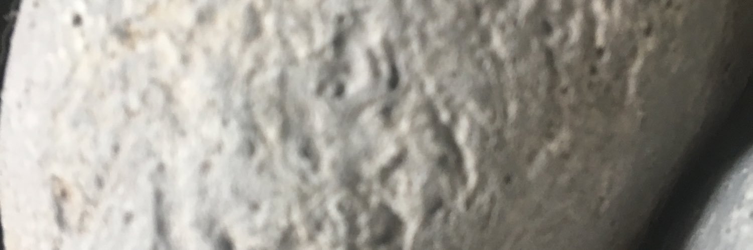 shaney666's profile banner image