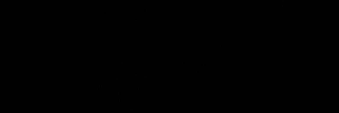 Linlino5l's profile banner image