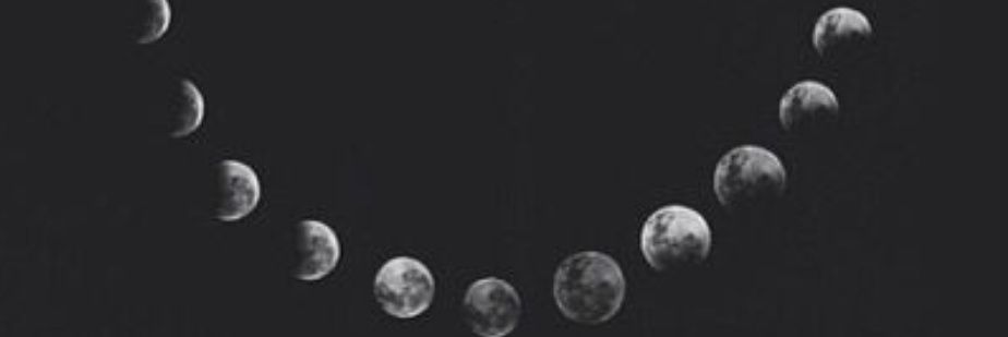 LotusFlowerWar's profile banner image